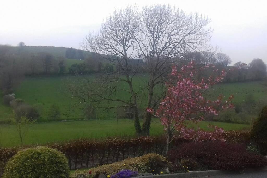 Drumgowan House Donegal Town Exteriör bild